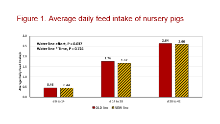 Figure 1: Average daily feed intake of nursery pigs