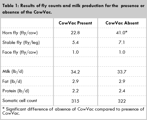 Effects of flies using Cow Vac