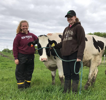 Grad students with cows on pasture