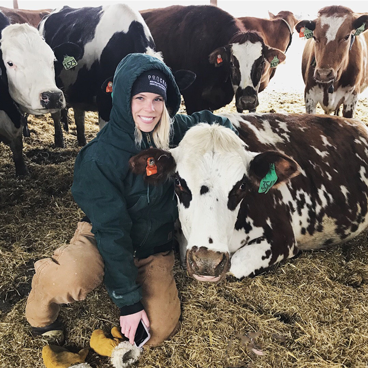 Kirsten Sharpe with cows