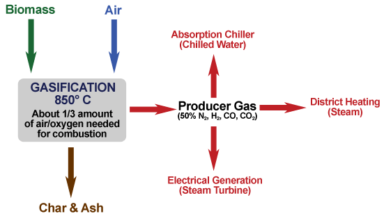 Biomass gasification process