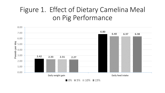 Figure 1 effect of dietary camelina meal on pig performance