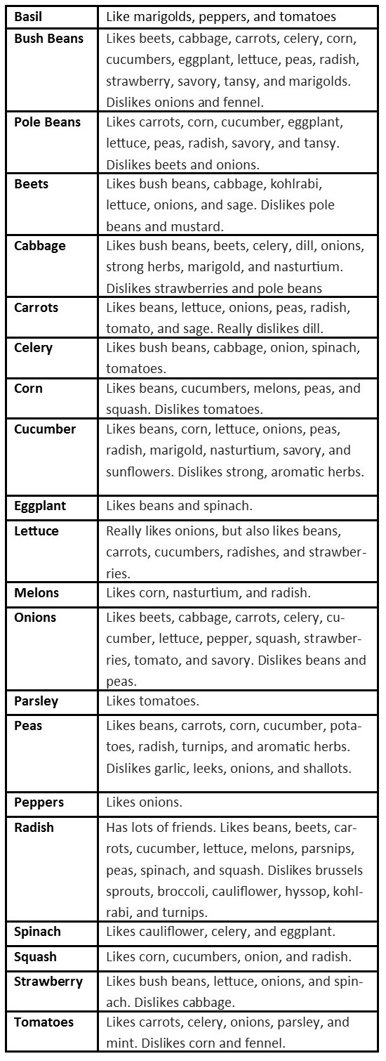 Companion vegetable chart