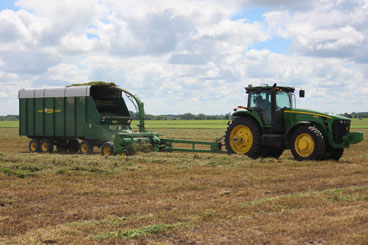 Tractor and wagon on field