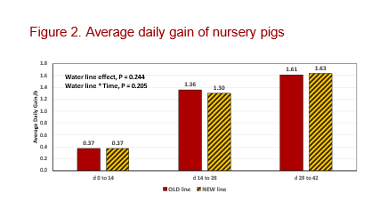 Figure 2: Average daily gain of nursery pigs