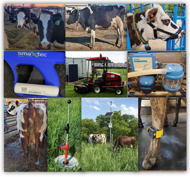 Precision technologies in dairy