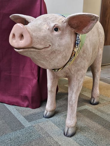 A photo of a knee-height pig statue found in the lobby of WCROC next to the registration tables. The pig is wearing a bandana around its neck.