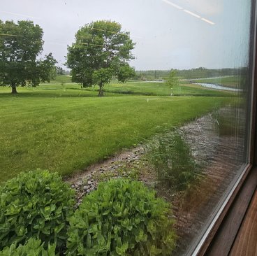 A close up photo of a window, showing the rain pouring down the glass. Shrubs, lawn, and trees in the distance also show the wetness outside.